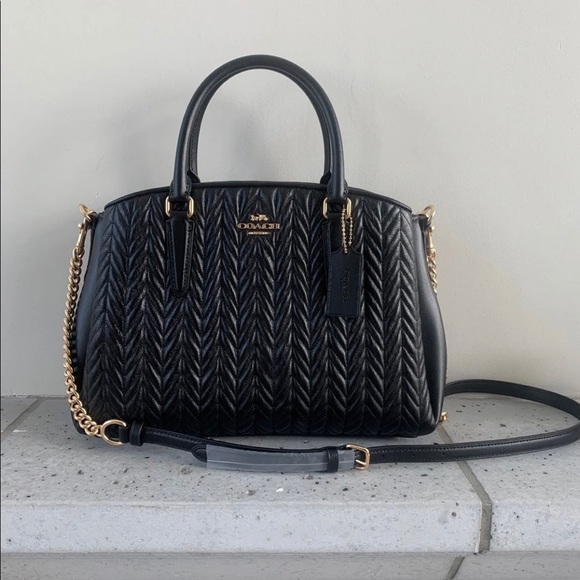 Coach sage carryall new with tags - Picture 2 of 10